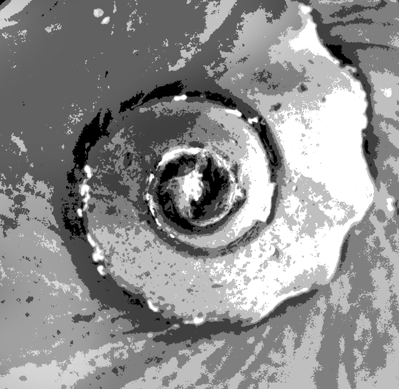 caracol invertido posterizado